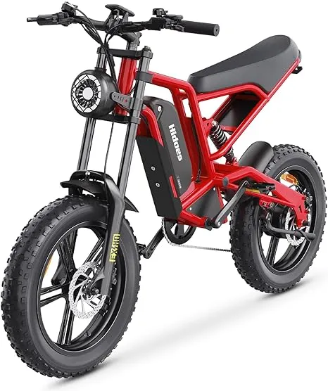 Hidoes Electric Bike