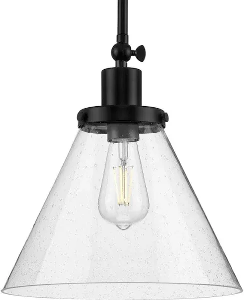 Progress Lighting Hinton 1-Light Matte Black Pendant