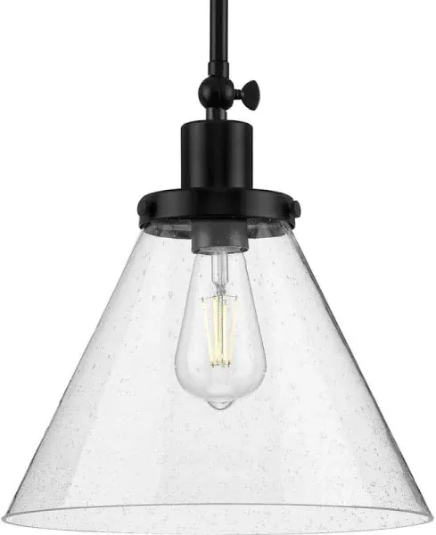 Hinton 1-Light Pendant in Matte Black