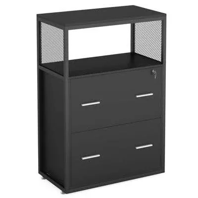 Tribesigns 2 Drawer Lateral File Cabinet