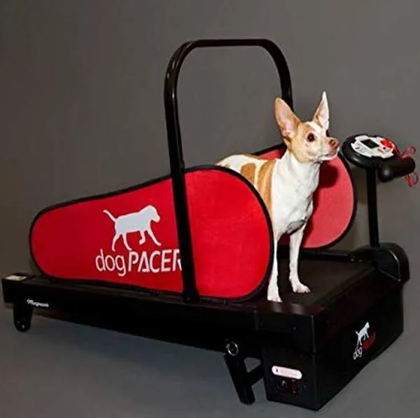 “Dogpacer” Minipacer Treadmill Folds Portable Small Med Dogs 1-65Ibs.