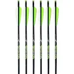 Carbon Express Piledriver Crossbolt 22in. Moon 6pk 52141