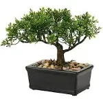 Artificial Bonsai Tree Juniper Faux Plants Indoor Small Fake Plants Decor with Ceramic Pots for Home Table Office Desk Bathroom Shelf Bedroom Living Room Farmhouse Decorations