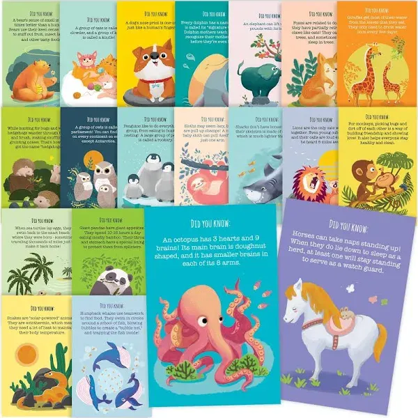 40 Animal Fun Fact Postcards - Bulk Thinking of You Postcard Pack for Kids St...