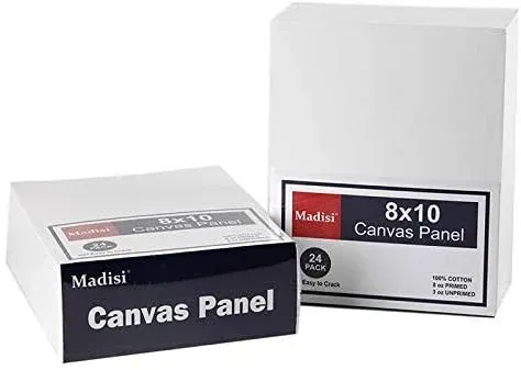 Madisi Painting Canvas Panels 48 Pack, 8X10, Classroom Value Pack Art White 