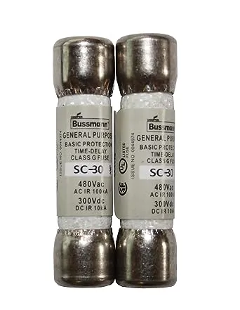 QSU SC-30 30 Amp Class G Time Delay Fuse 2 Pack