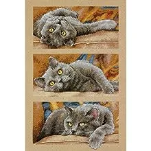 Max The Cat Counted Cross Stitch Kit 10&#034;X15&#034; 14 Count