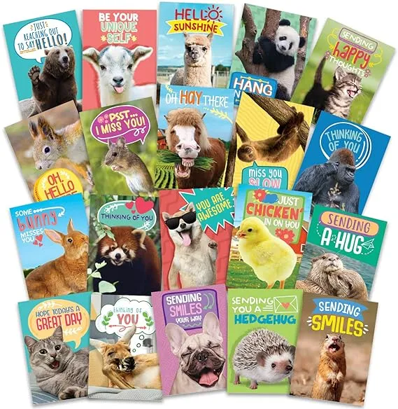 T MARIE 40 Funny Animal Postcards - Bulk Thinking of You 40, Assorted 