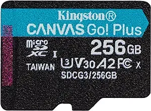 Kingston SDCG3/256GBSP