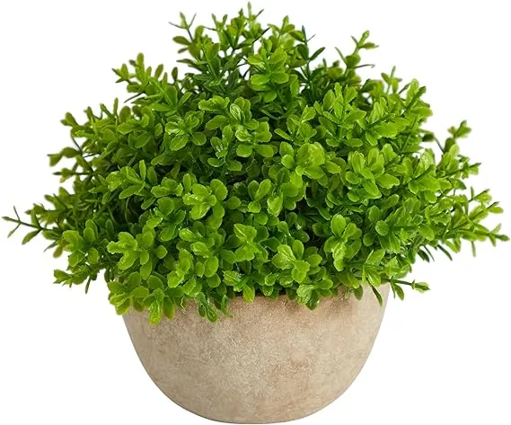 Nearly Natural 5-in Boxwood Artificial Plant in Decorative Planter