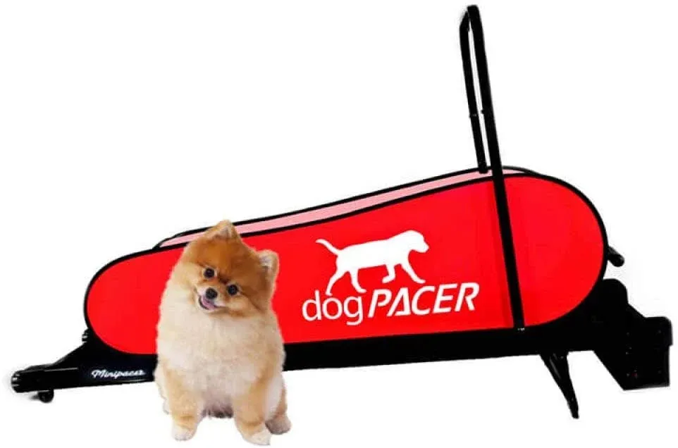 dogPACER LF 3.1 Dog Treadmill