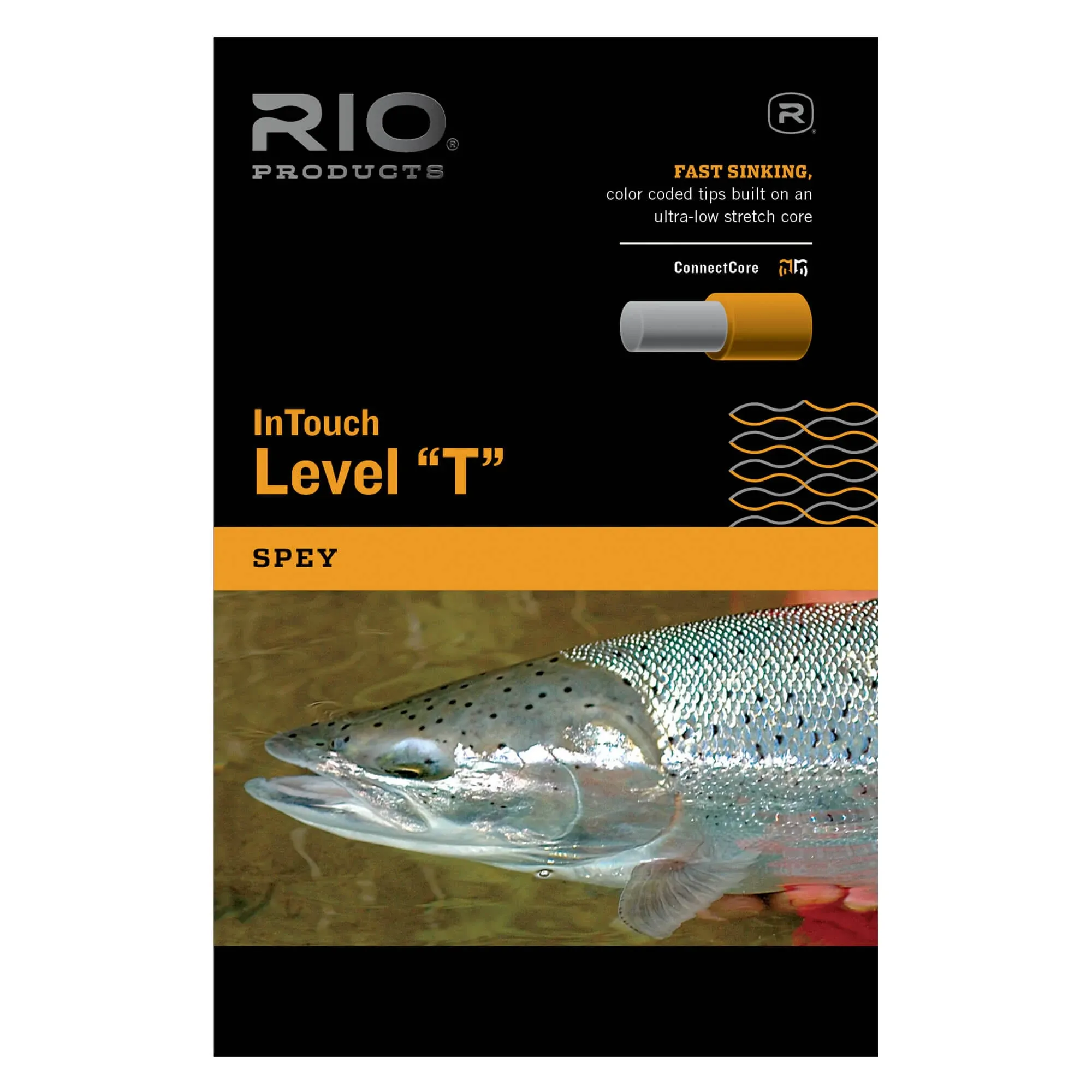 Rio InTouch Level T - T-14