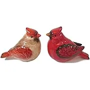 Cardinal Male and Female Salt and Pepper Shaker Set