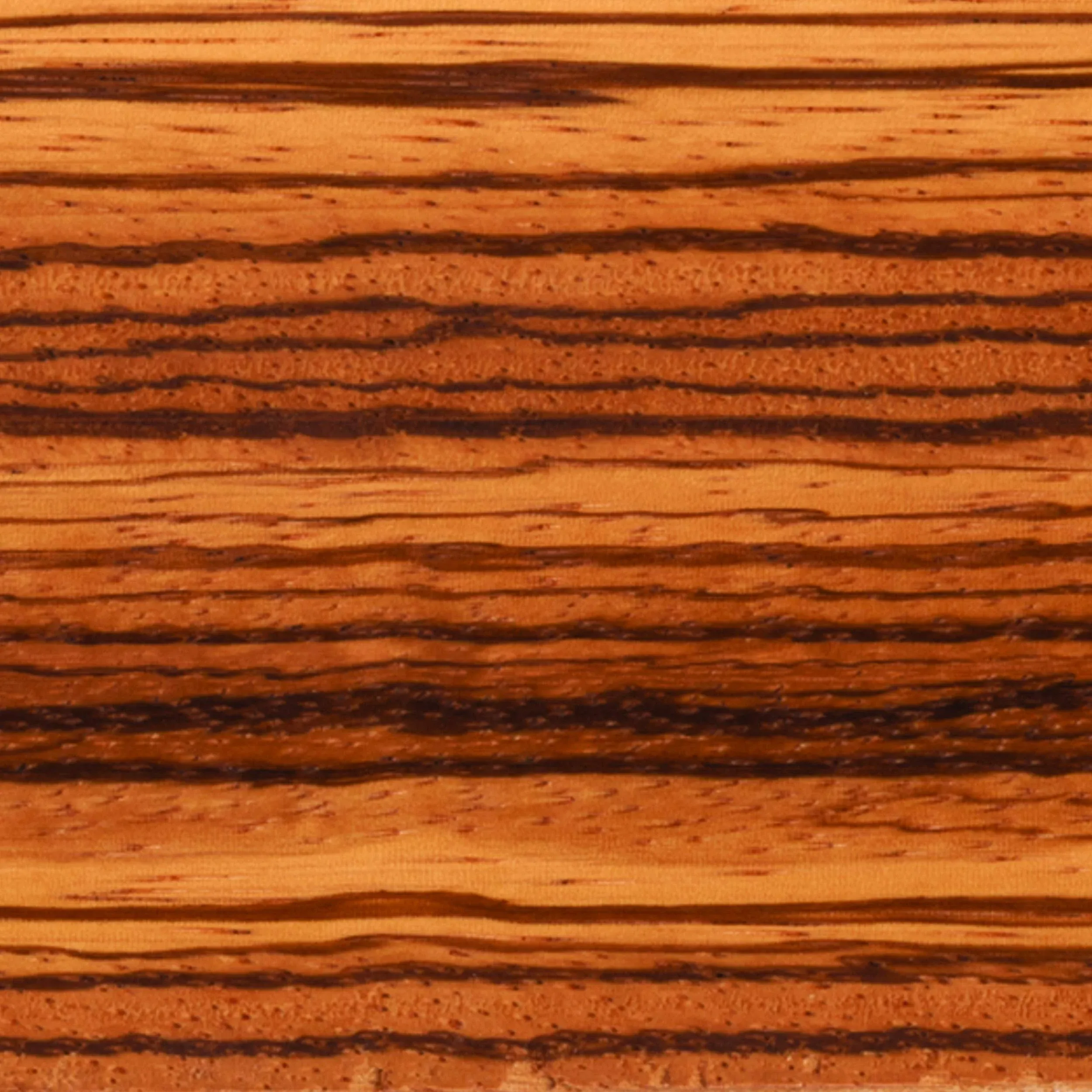 Woodcraft Woodshop Zebrawood - 1/8" x 3" x 24"