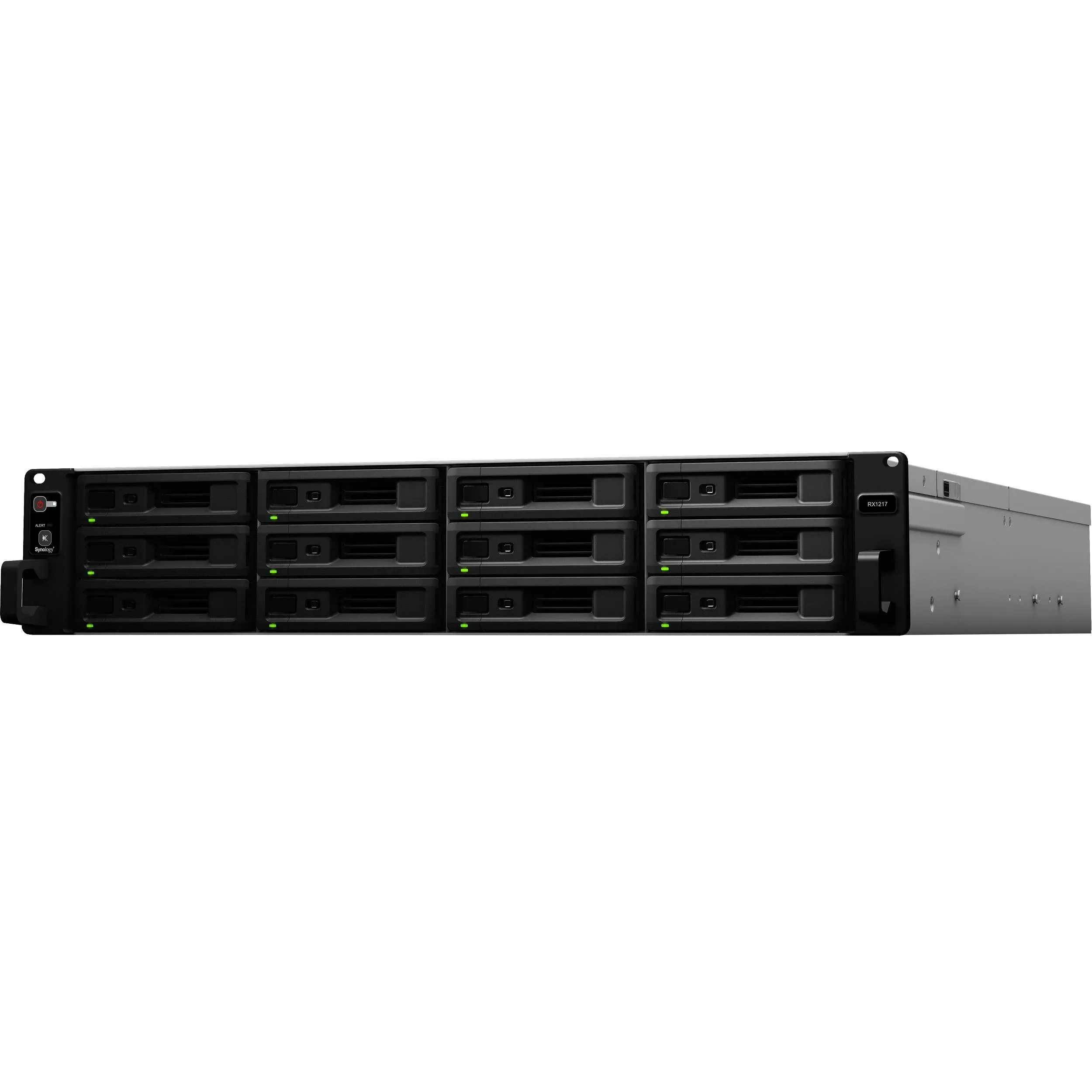 Synology RX1217 12-Bay 2U Rack Mount Storage Expansion Unit with Power Supply