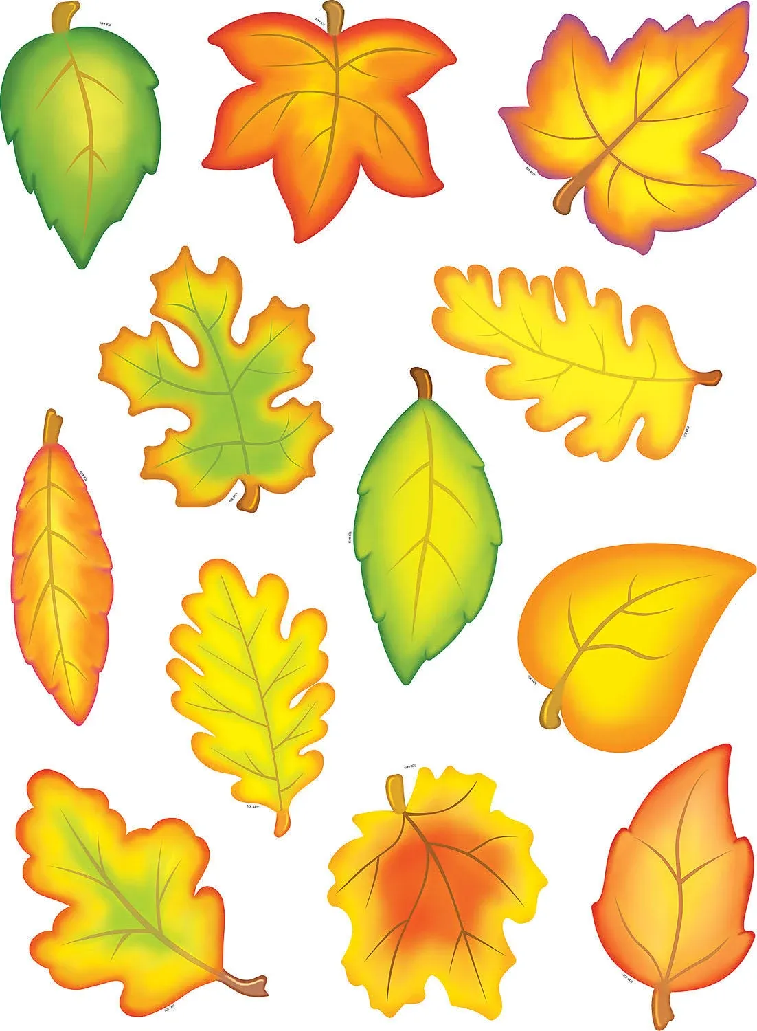 Teacher Created Resources Fall Leaves Accents (TCR4419)