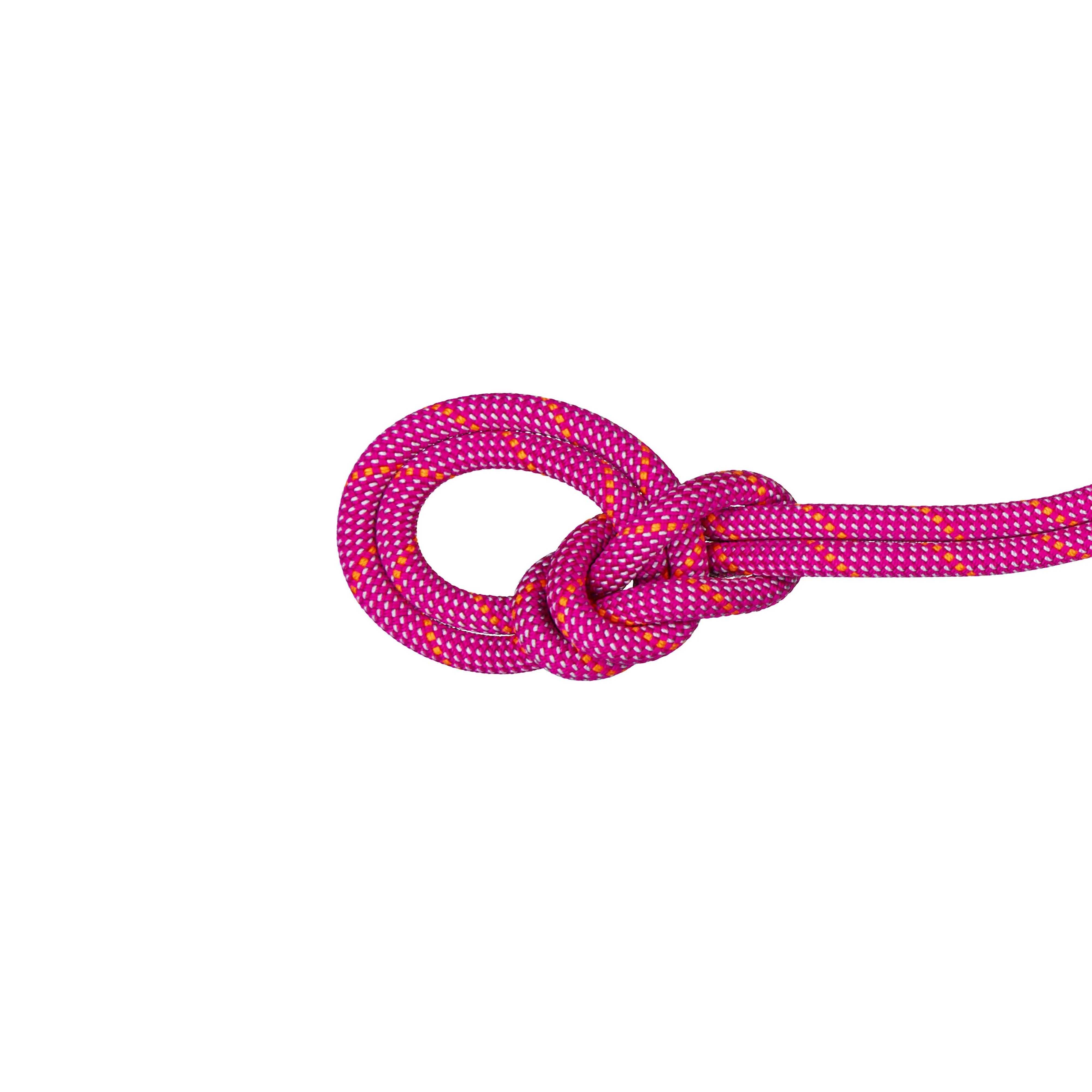 Mammut 9.5 Crag Dry Rope