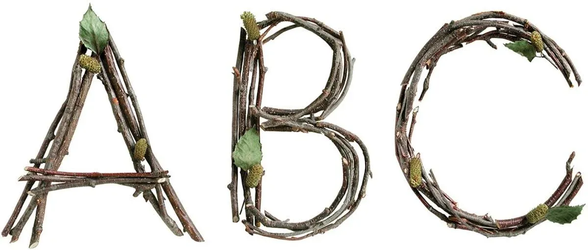 Rustic Twigs 6" Designer Letters by Creative Teaching Press