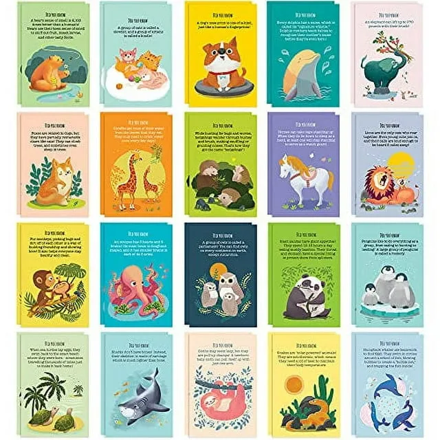 T MARIE 40 Animal Fun Fact Postcards - Bulk Thinking of You Postcard Pack for Kids, Students, Friends, Teacher, and More - Say Hello, Thank You or I Miss You with Colorful Note Cards