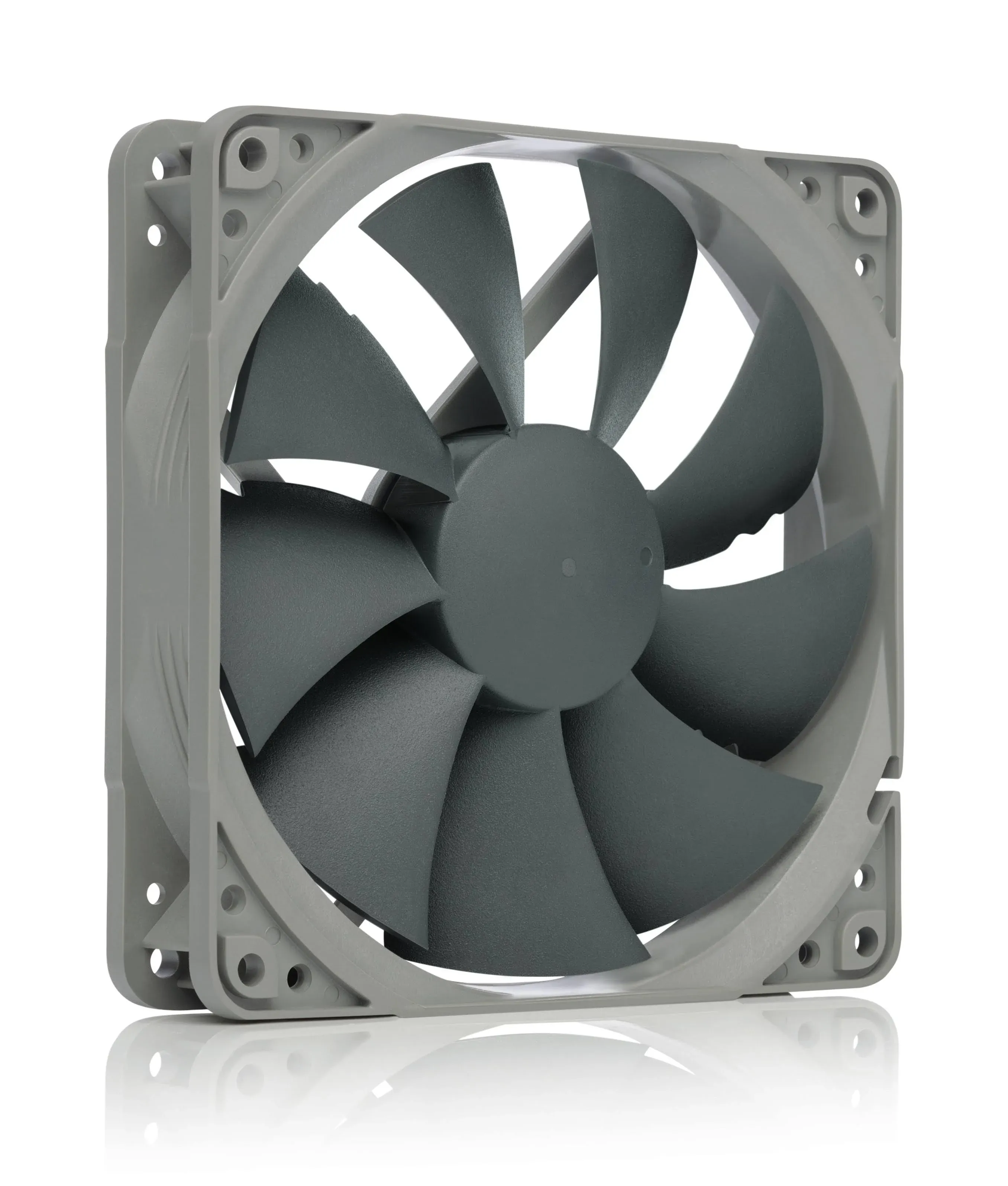 Noctua NF-P12 Fan