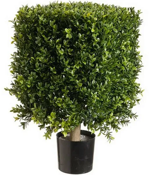 1\'9" Boxwood Square-Shaped Artificial Topiary w/Pot Indoor/Outdoor (pack of 2)