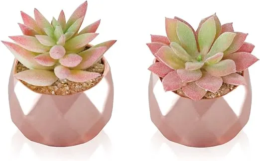 Tiita Artificial Plants Desk Fake Succulents Indoor Decor Office Room Decoration Small Tiny Realistic Plants in White Ceramic Potted (Pink-Gold)