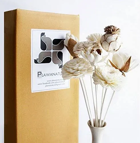 Exotic Aroma Exotic Plawanature Set of 8 Mixed Sola Wood Flower with Reed ...