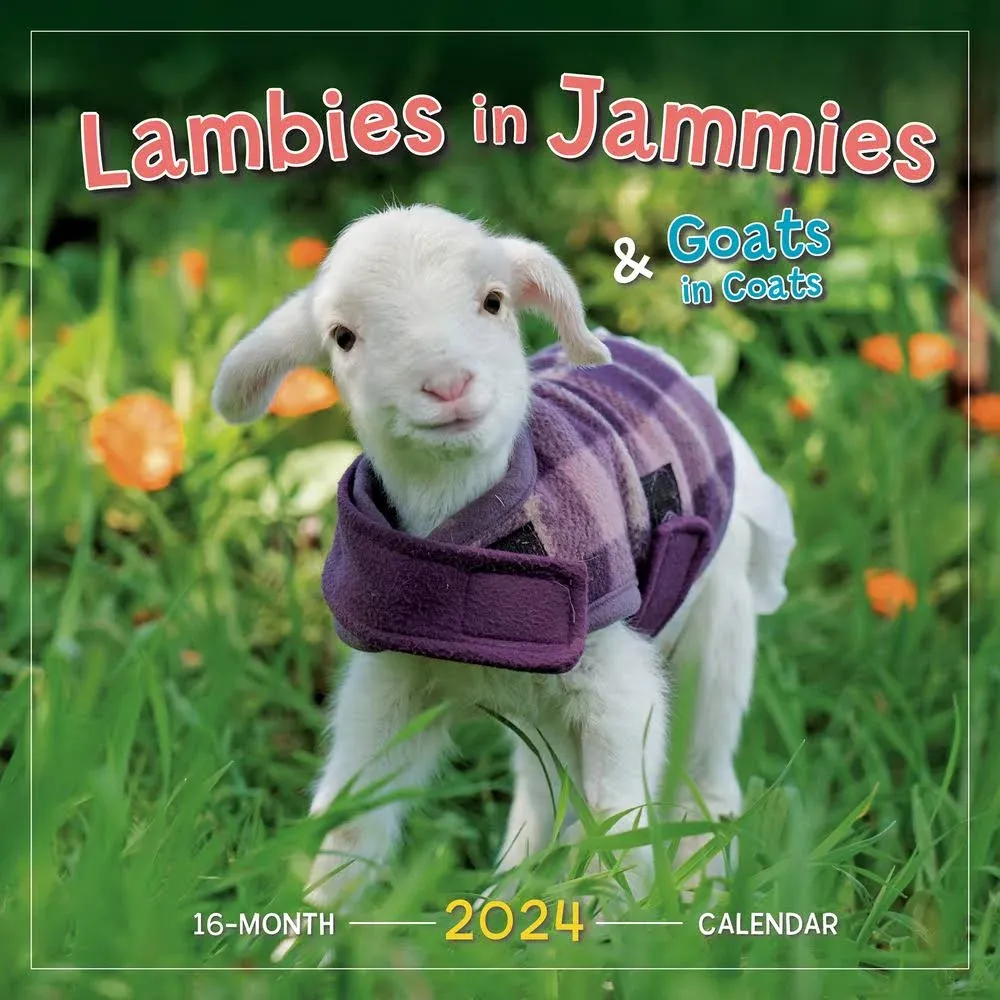 Lambies in Jammies & Goats in Coats 2024 Wall Calendar, 12" x 12"