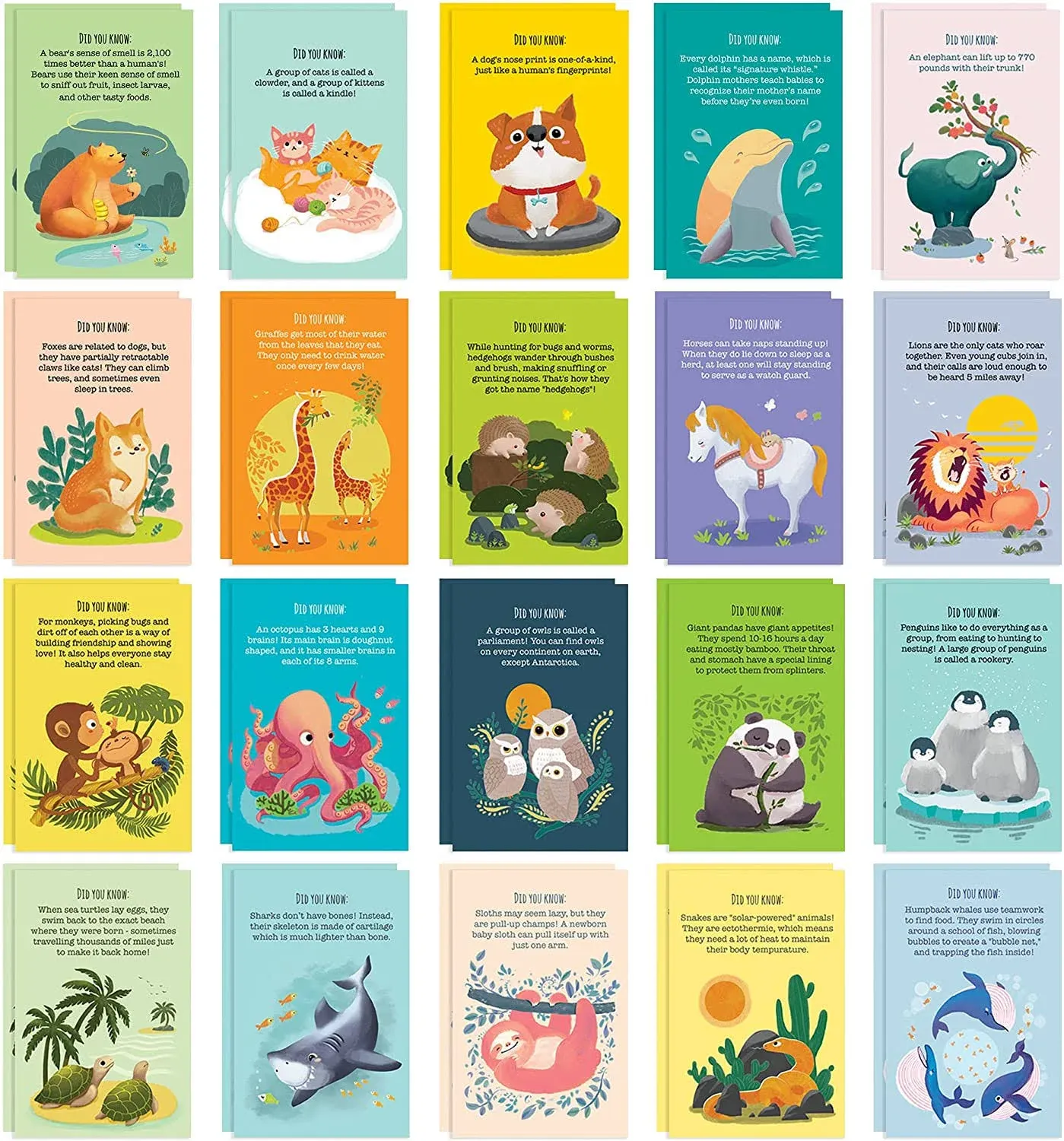 40 Animal Fun Fact Postcards - Bulk Thinking of You Postcard Pack for Kids St...