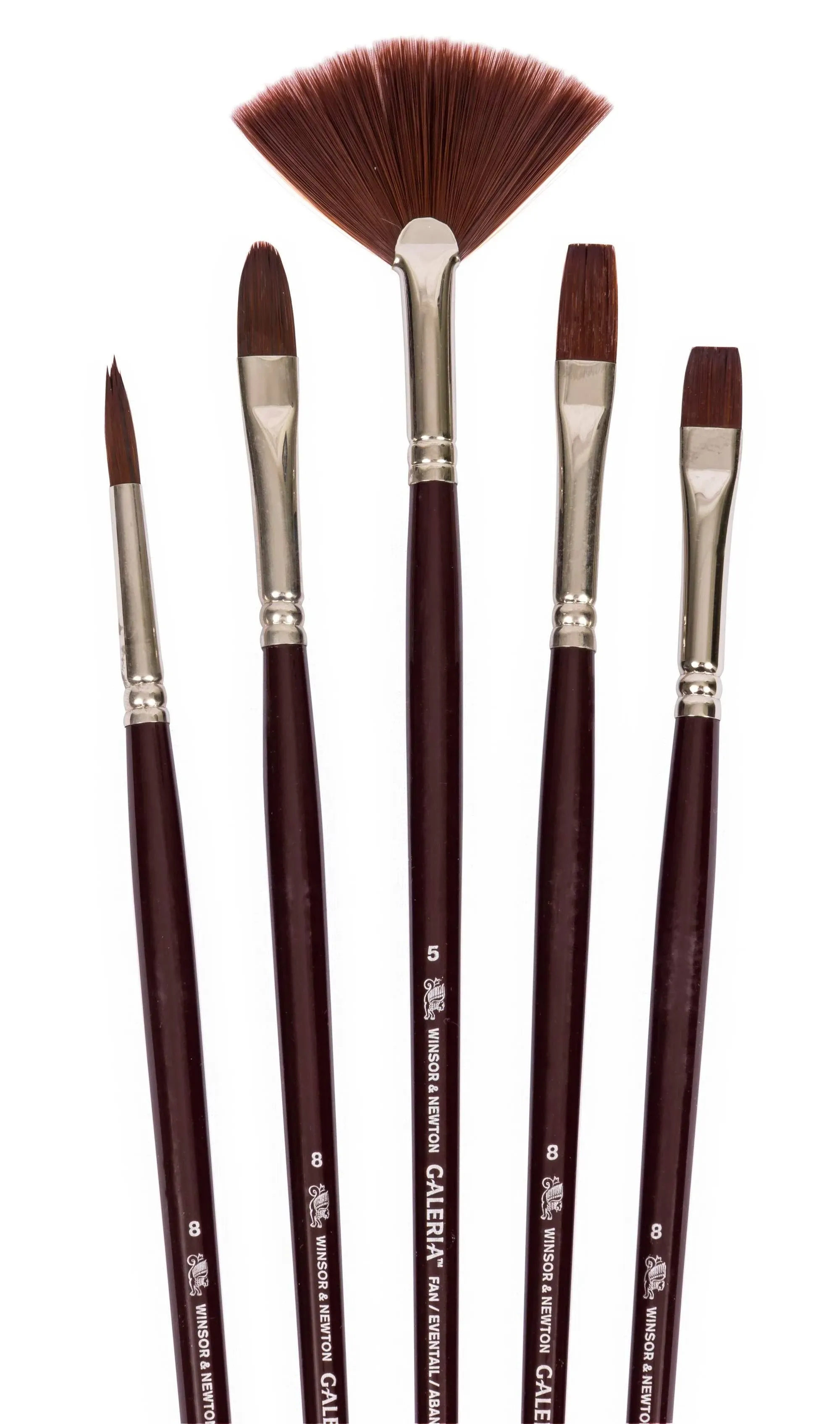 Winsor & Newton - Galeria Brush - Round- Short Handle - 8