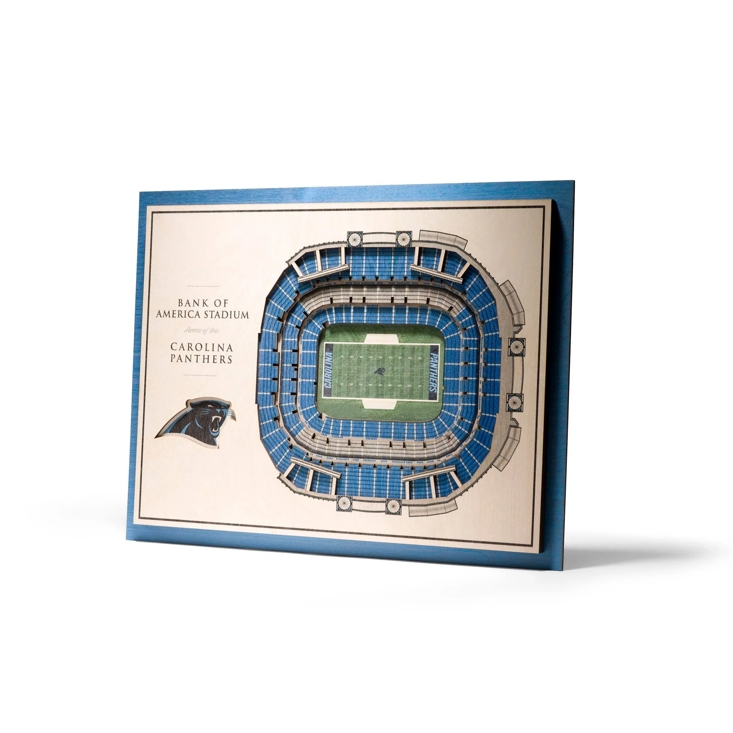 StadiumViews Carolina Panthers Youthefan Team Colors Floater Frame 13-in H x 17-in W Sports 3D Art Lowes.com