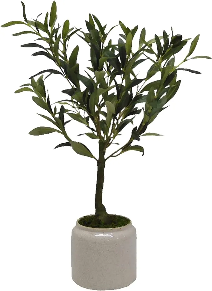 21.46" Artificial Olive Tree Plant in Pot Elements