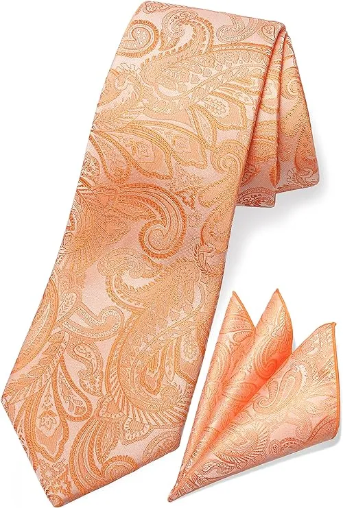 TaecMin Mens Tie Solid Ties for Men Paisley Neckties and Pocket Squares Set with Flower Lapel Pins for Weddings