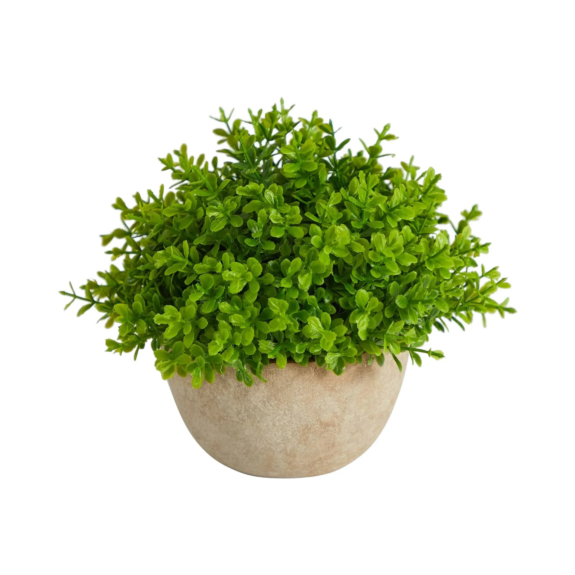 Nearly Natural 5in. Boxwood Artificial Plant in Decorative Planter