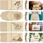 Unfinished Wood Ornaments, PETUOL DIY 32pcs 4x3in Creative Irregular Blank Wood Natural Slices for DIY Crafts, Painting, Wood Burning, Writing, Photo Props, Coasters and Home Decorations