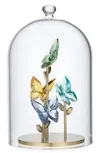 Jungle Beats Butterfly Bell Jar In Multicolored