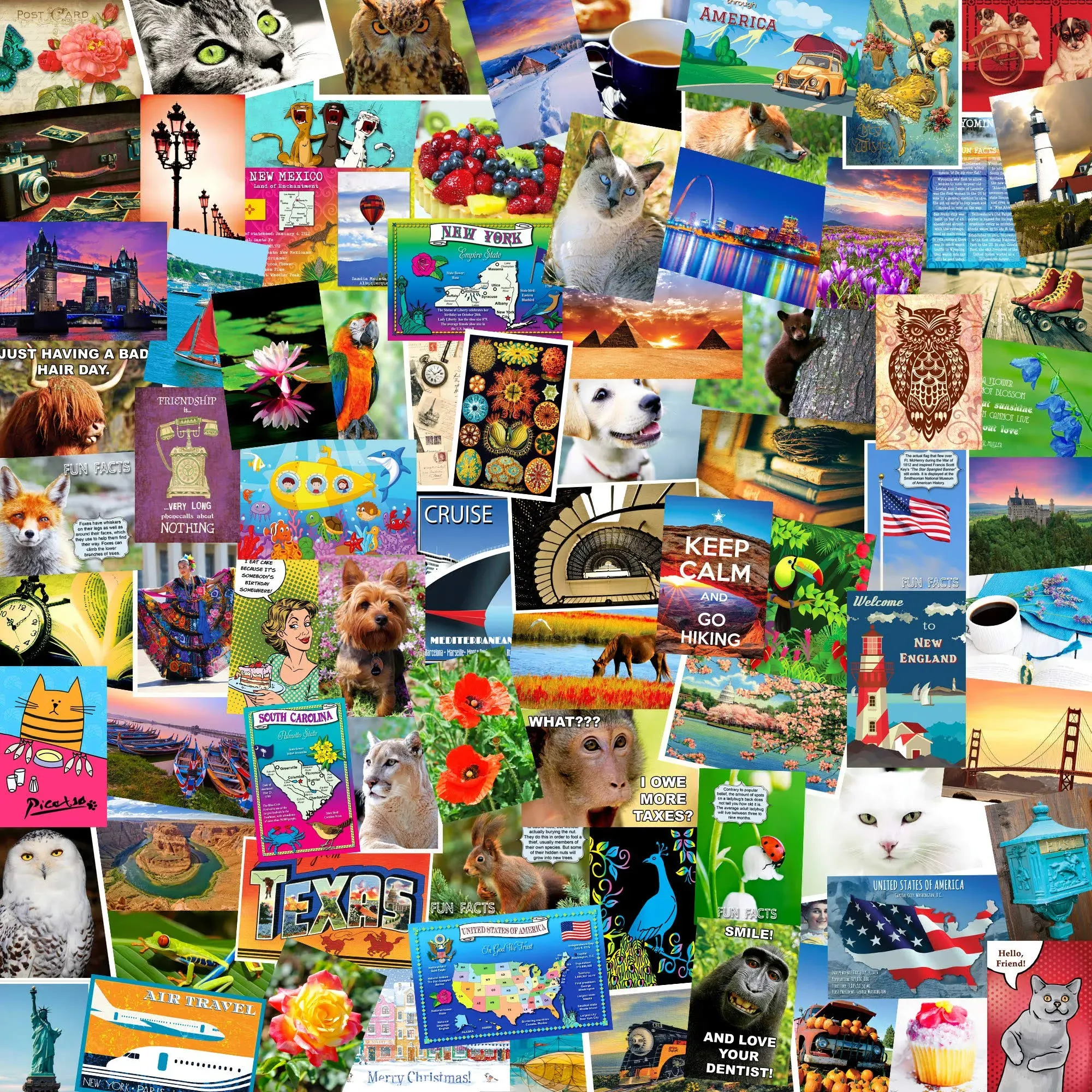 Postcard Fair Postcard Set of 50 Cards. Post Card Variety Pack of Random ...