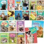 T MARIE 40 Funny Animal Postcards - Bulk Thinking of You Postcard Pack Kids S...