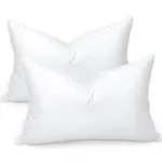 Goose Feather Bed Pillow for Sleeping, Hotel Down Medium Standard Size Set of 2