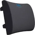 Everlasting Comfort Lumbar Support Cushion