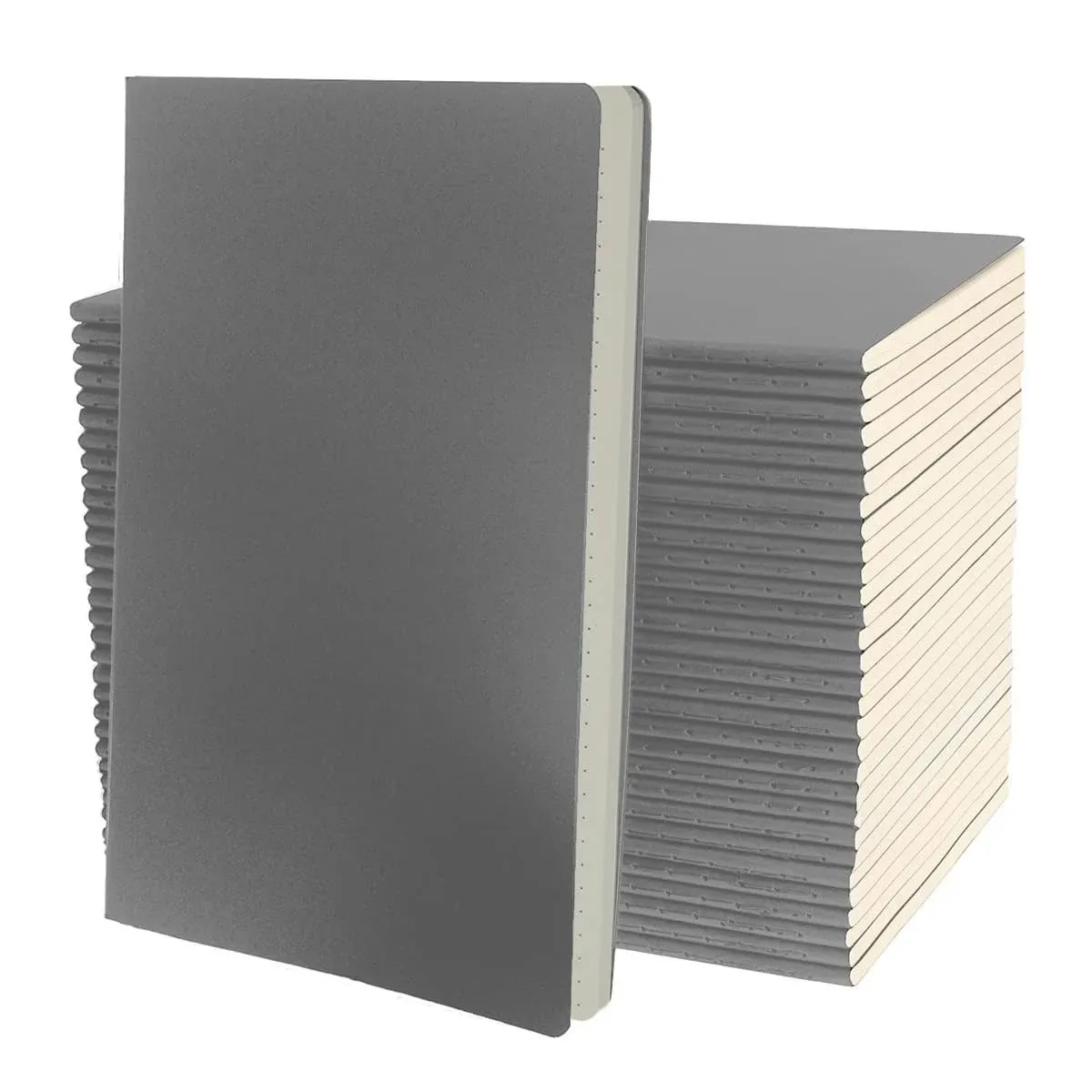 Simply Genius A5 Dotted Notebooks for Work Travel Business College &amp; More - S...