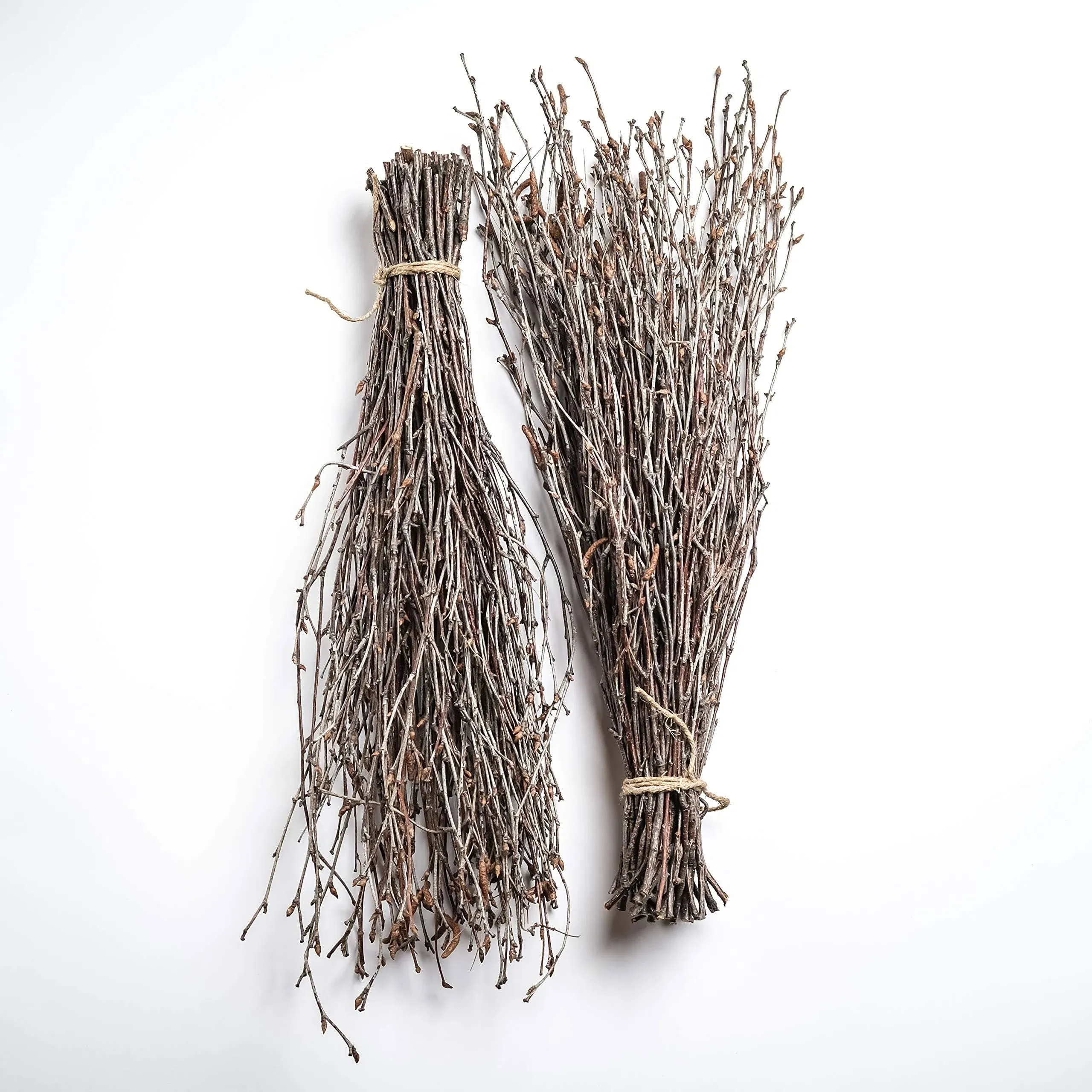 100 pcs Birch Twigs for vase decoration. Set of 2 Bundles of Branches 100% natural sticks 17 inches