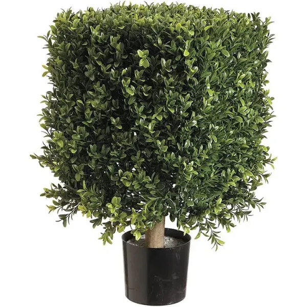 1\'9" Boxwood Square-Shaped Artificial Topiary w/Pot Indoor/Outdoor (pack of 2)