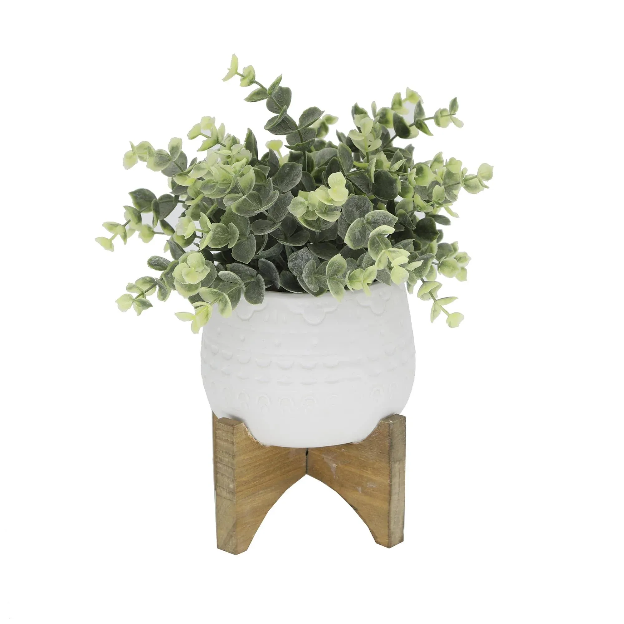 Flora Bunda 5 in. Eucalyptus in Mayan Ceramic Pot on Wood Stand E-Pack Matte White