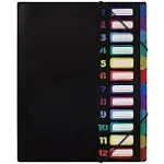 Better Office 24-Pocket Expanding File Folder, Black (59601) | Staples