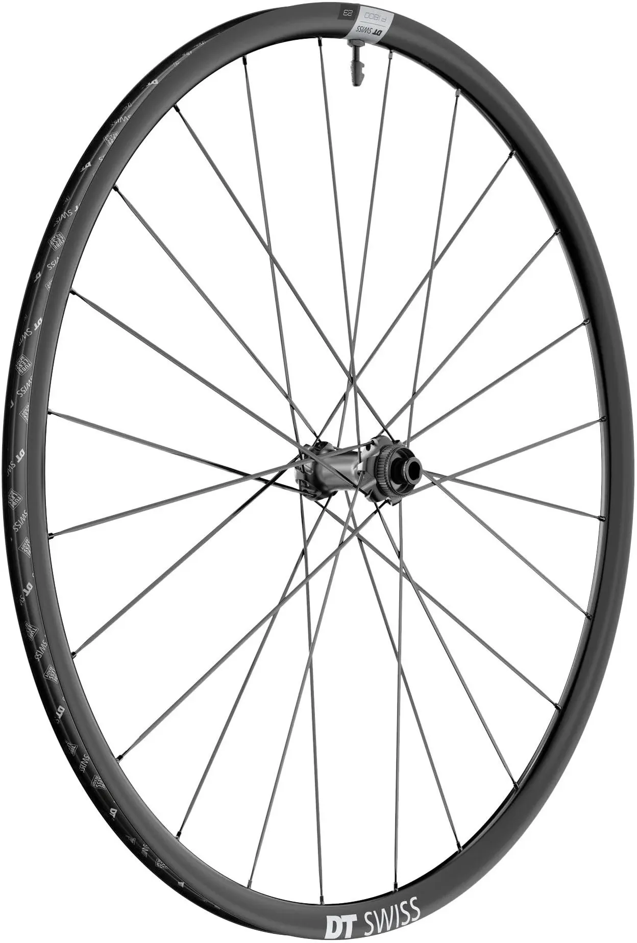 DT Swiss P 1800 Spline 23 Front Wheel