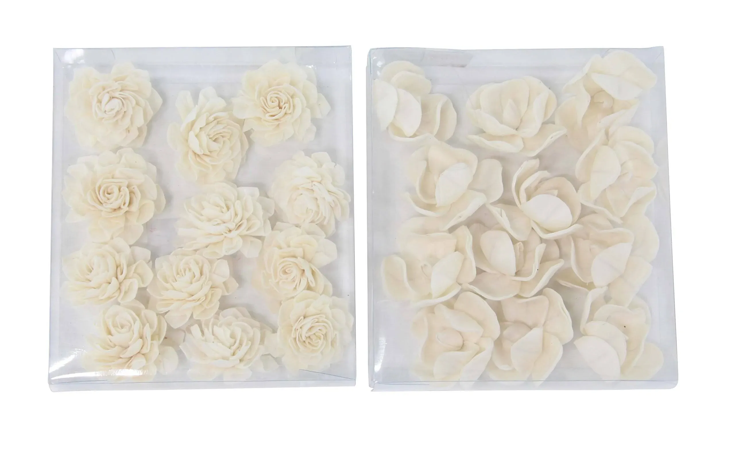 Set of 2 Natural 7" Boxed White Anemone and Rose Sola Flowers - Contemporary - Artificial Flower Arrangements - by Brimfield & May | Houzz