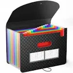 ThinkTex Accordian File Organizer, 12 Pockets Expanding File Folders, Portable Monthly Bill Receipt Organizer, Colorful Tabs, Letter/A4 Size