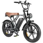 BreezeRider 20" Fat Tire Electric Bike for Adults 750W Brushless Motor 48V 15Ah ...