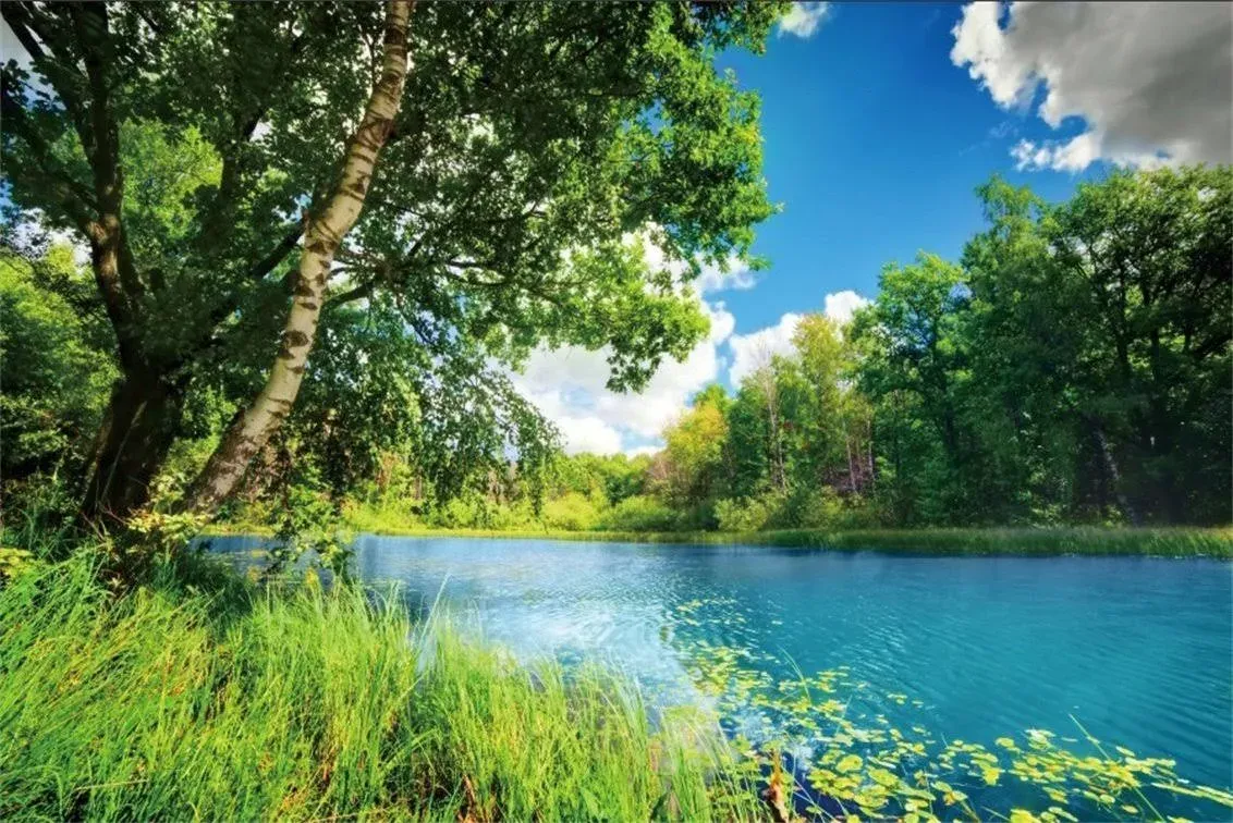 5x3ft Park Scenery Backdrop River Blue Water and Tree Forest Garden Blue Sky ...